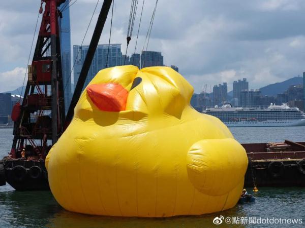 修复好了，双鸭再同框！ 网友：看来这段感情还有点希望……