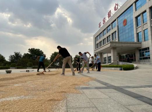 山东多地政府大院开放晒粮！全网点赞：对得起门前的招牌！