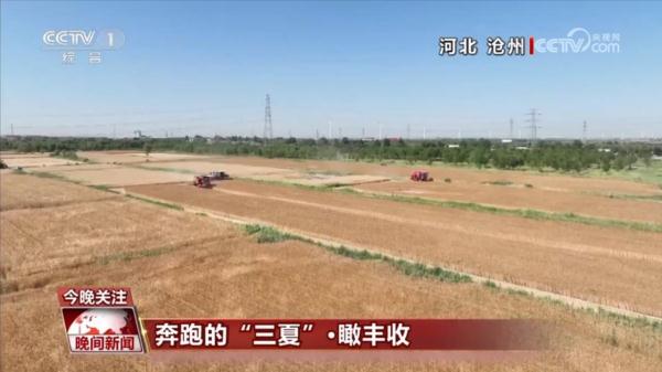 奔跑的“三夏”·瞰丰收