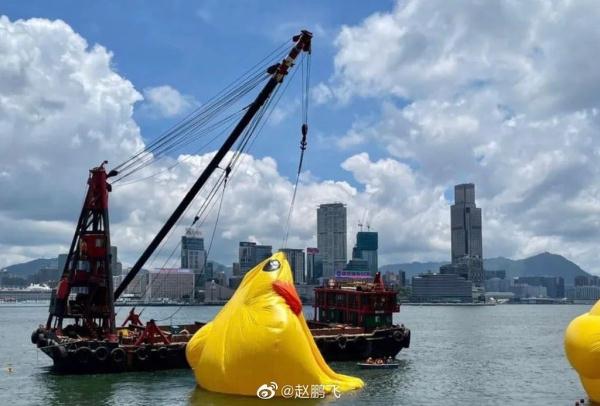 修复好了，双鸭再同框！ 网友：看来这段感情还有点希望……