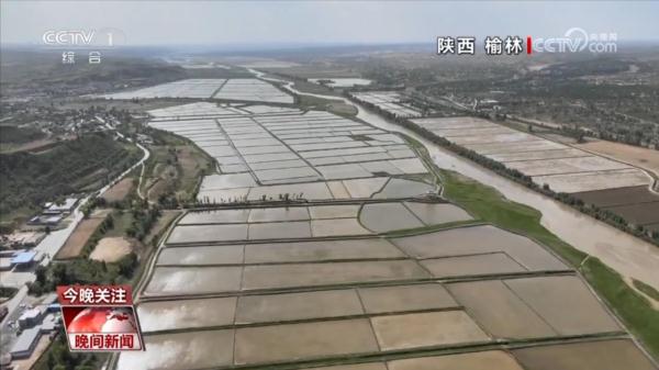 奔跑的“三夏”·瞰丰收