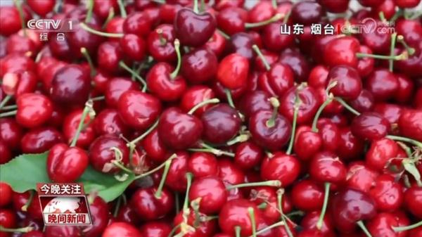 奔跑的“三夏”·瞰丰收