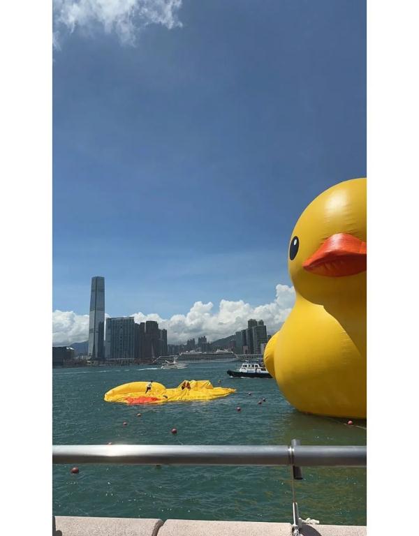 修复好了，双鸭再同框！ 网友：看来这段感情还有点希望……