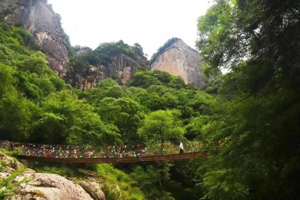 带上准考证，出发！海南等多地景区官宣：免门票、半价游......