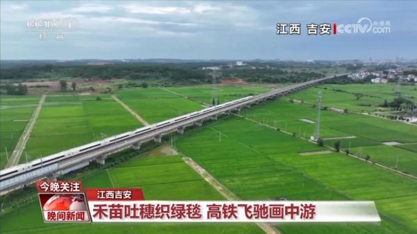 奔跑的“三夏”·瞰丰收