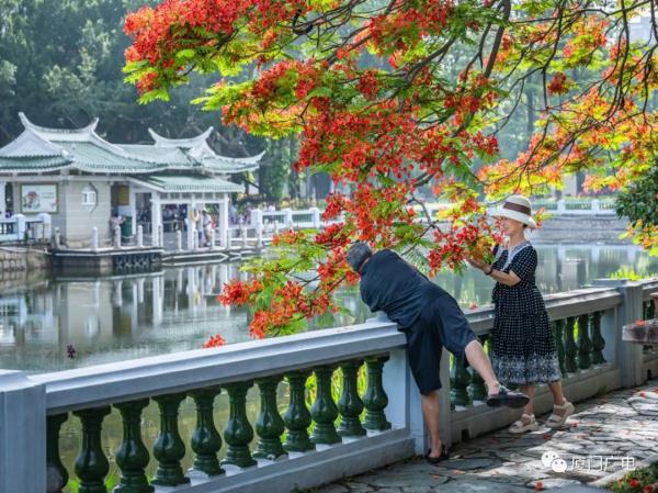 紧急提醒!午后易出现热雷雨!接下来厦门天气将…… 紧急提醒!午后易出现热雷雨!接下来厦门天气将……