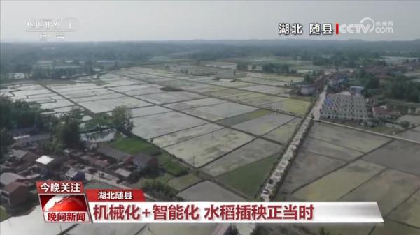 奔跑的“三夏”·瞰丰收