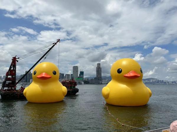 修复好了，双鸭再同框！ 网友：看来这段感情还有点希望……