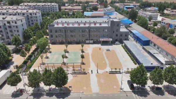 山东多地政府大院开放晒粮！全网点赞：对得起门前的招牌！