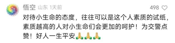 合肥交警一个举动，登上热搜！