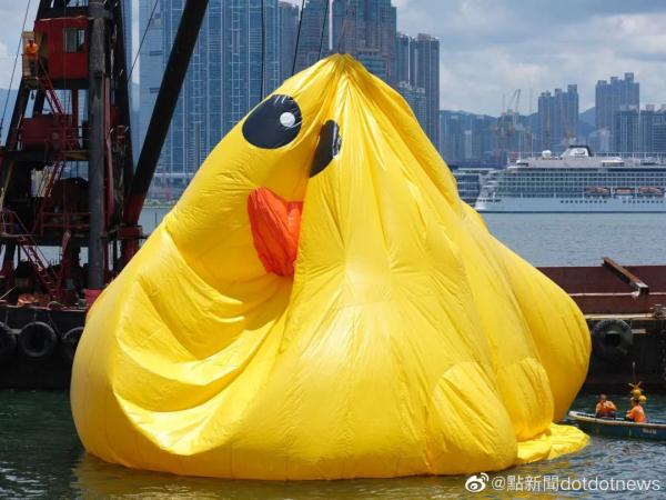 修复好了，双鸭再同框！ 网友：看来这段感情还有点希望……