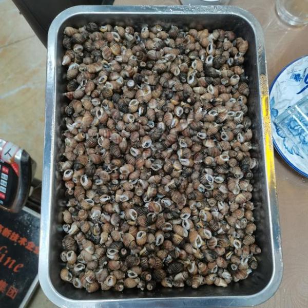 紧急提醒：这个别吃，别买！一颗就可能致命！