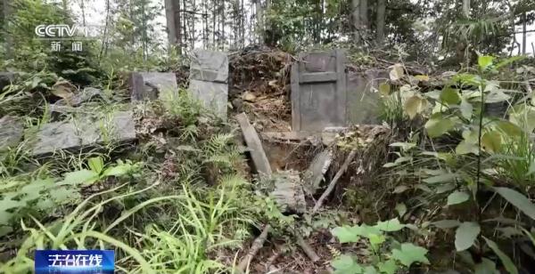 为了一夜暴富，这伙盗墓贼疯狂盗掘古墓葬