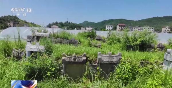 网上下单盗墓,在线售卖龙袍 网上下单盗墓,在线售卖龙袍