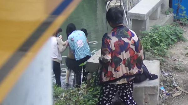 苏州：两位67岁阿婆下河接力救起落水男孩