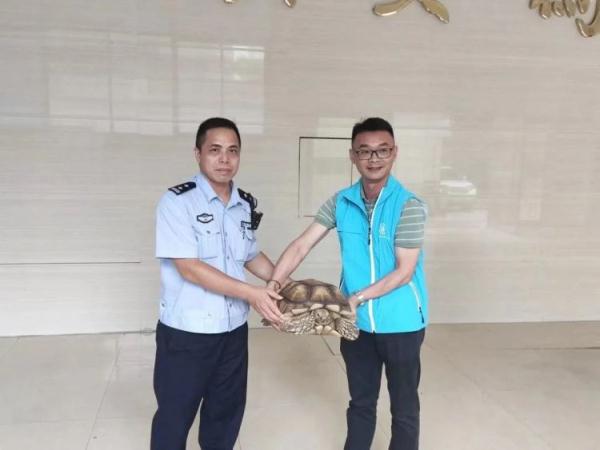 佛山街头惊现神秘外来物种,体型庞大、长相稀奇…… 佛山街头惊现神秘外来物种,体型庞大、长相稀奇……