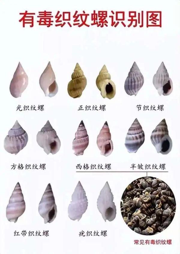 紧急提醒：这个别吃，别买！一颗就可能致命！