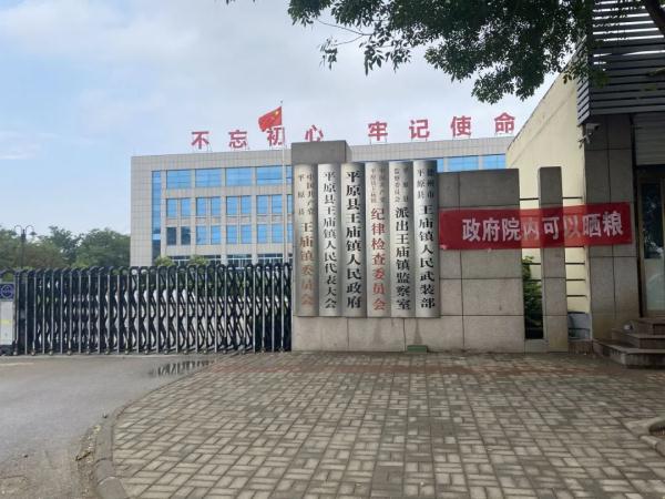 山东多地政府大院开放晒粮！全网点赞：对得起门前的招牌！