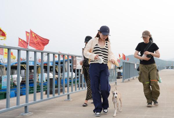 浙江宁海:美丽半岛小镇盛开“美丽经济” 浙江宁海:美丽半岛小镇盛开“美丽经济”