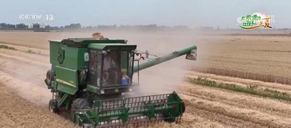 看田间地头“一粒麦”变身记 让农户增产又增收
