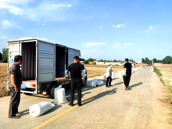 河北唐县：13.1万亩小麦开镰收割