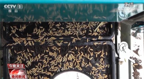 农业生产涌现新生力量 “新农人”周益开启种粮创业增收之路