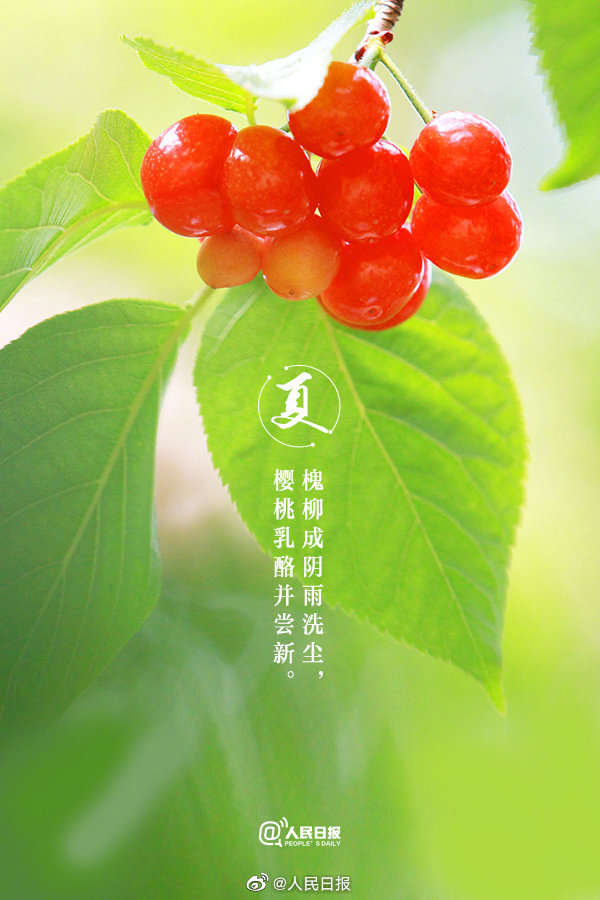 收藏!当夏日美景遇上古诗词 收藏!当夏日美景遇上古诗词