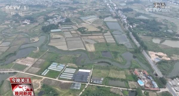 农业生产涌现新生力量 “新农人”周益开启种粮创业增收之路