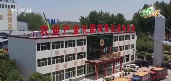 看田间地头“一粒麦”变身记 让农户增产又增收