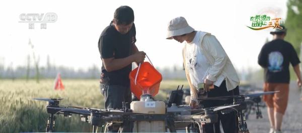 高温天加强小麦田间管理 农技人员指导种植户科学种植 高温天加强小麦田间管理 农技人员指导种植户科学种植
