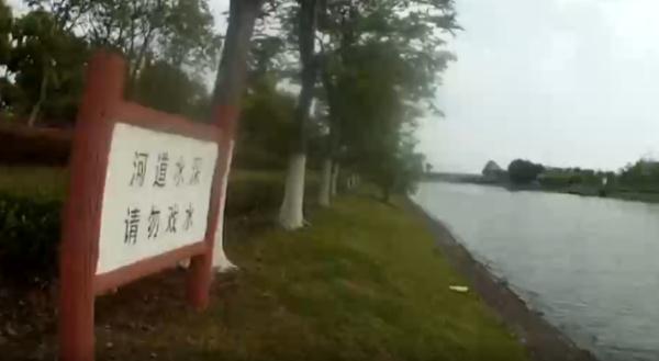 太危险!有人专程去迪士尼度假区干这事…… 太危险!有人专程去迪士尼度假区干这事……