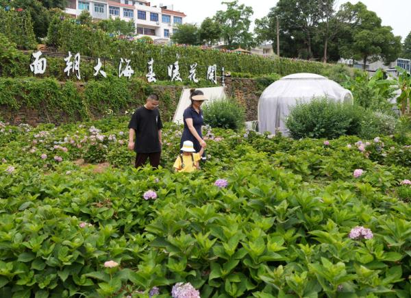 浙江宁海:美丽半岛小镇盛开“美丽经济” 浙江宁海:美丽半岛小镇盛开“美丽经济”