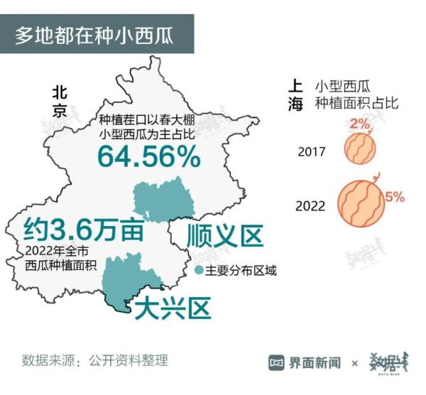 批发价创13年来新高，为什么西瓜越来越贵？
