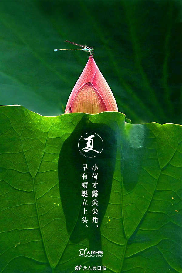 收藏!当夏日美景遇上古诗词 收藏!当夏日美景遇上古诗词