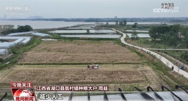 农业生产涌现新生力量 “新农人”周益开启种粮创业增收之路