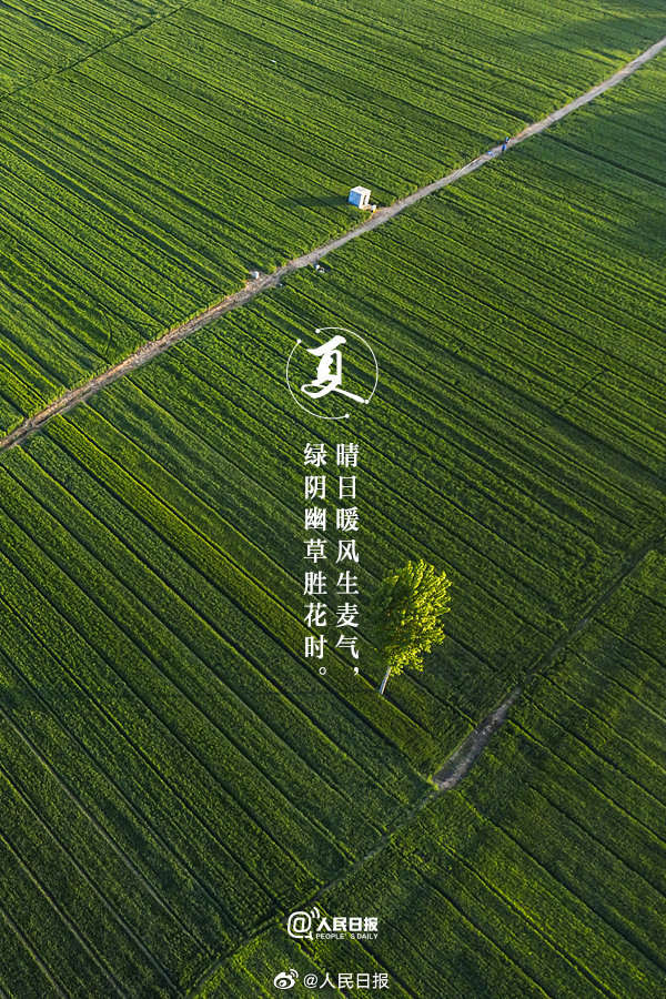 收藏!当夏日美景遇上古诗词 收藏!当夏日美景遇上古诗词