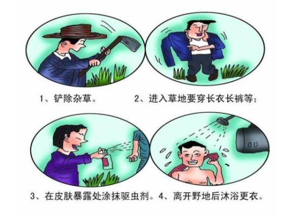 桂林男子因它高烧至40℃！夏季正高发，严重或可致命