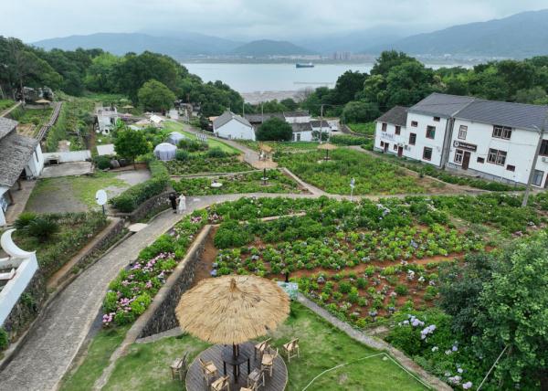 浙江宁海:美丽半岛小镇盛开“美丽经济” 浙江宁海:美丽半岛小镇盛开“美丽经济”