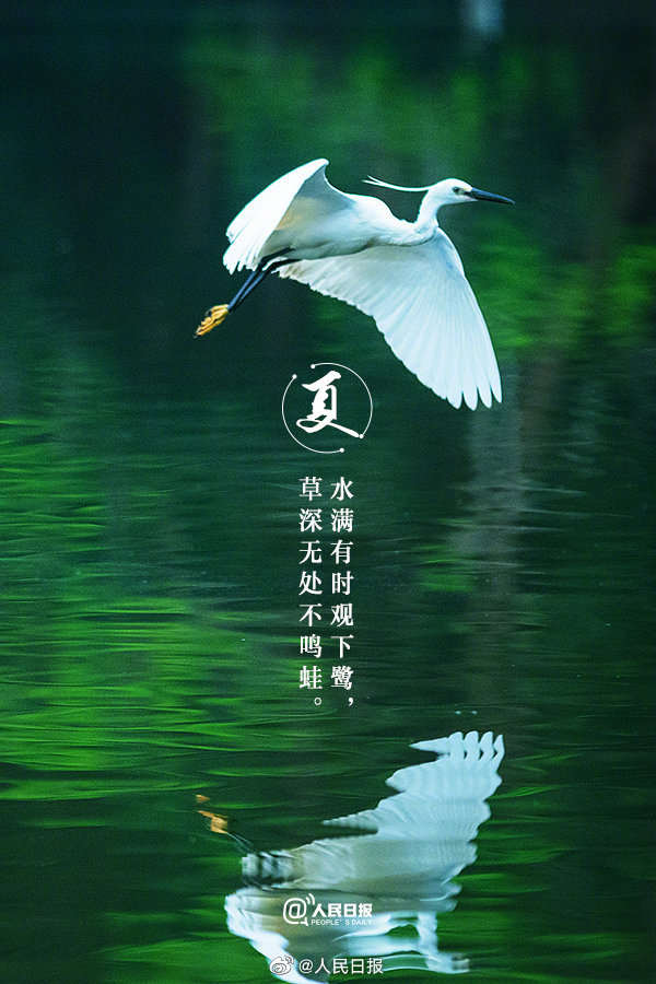 收藏!当夏日美景遇上古诗词 收藏!当夏日美景遇上古诗词