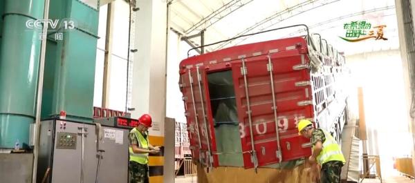 看田间地头“一粒麦”变身记 让农户增产又增收