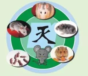 桂林男子因它高烧至40℃！夏季正高发，严重或可致命