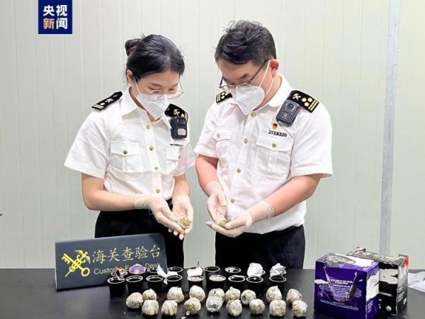 快递藏毒!厦门海关查获18罐“毒咖啡” 快递藏毒!厦门海关查获18罐“毒咖啡”
