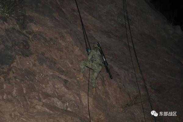 “中野虎师”出击，全程高能！