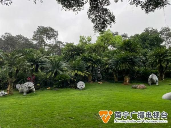 壮观！南宁上万株铁树开花了