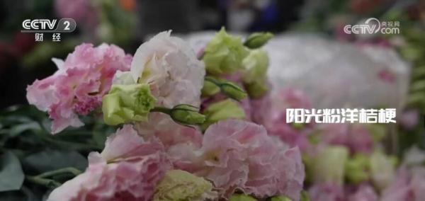 感受云南斗南花市的抢“鲜”时刻 “美丽经济”尽情绽放 感受云南斗南花市的抢“鲜”时刻 “美丽经济”尽情绽放