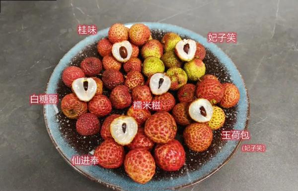 荔枝，中国水果的大骄傲！