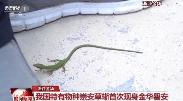 珍稀野生动物频亮相 我国生态环境持续向好