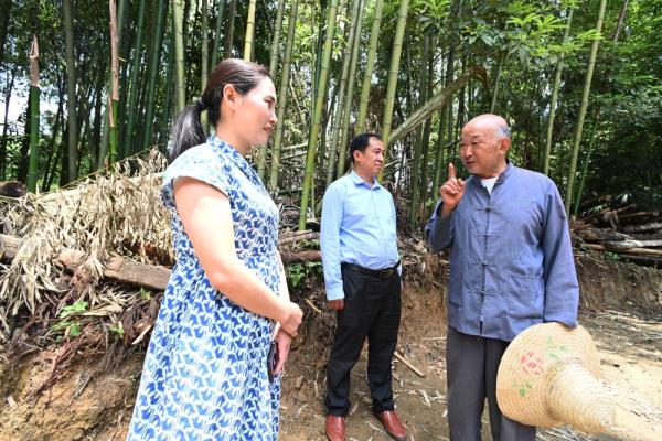 贵州凤冈:村民胡光明守护白鹭40余年 贵州凤冈:村民胡光明守护白鹭40余年