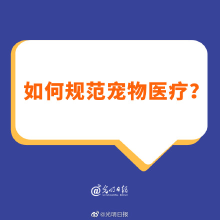 如何规范宠物医疗