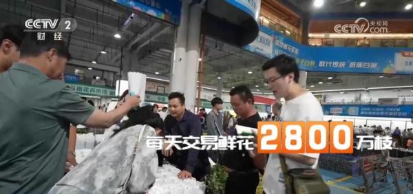 感受云南斗南花市的抢“鲜”时刻 “美丽经济”尽情绽放 感受云南斗南花市的抢“鲜”时刻 “美丽经济”尽情绽放